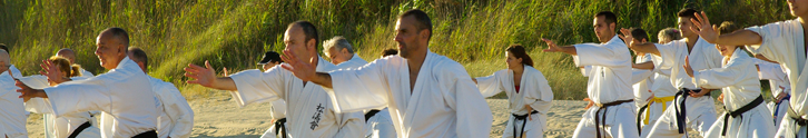 martial artists on a beach having a lesson