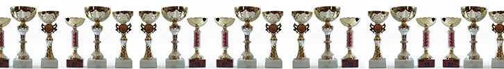 Selection of sporting trophies